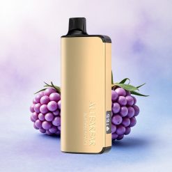 Alibarbar Ingot 9000 Puffs Bjørnebær Is med 2350mAh og 22ml