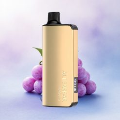 Alibarbar Ingot 9000 Puffs Drueis 2350mAh