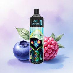 JNR Alien Max 18000 Blåbær Bringebær Dual Mesh 850mAh
