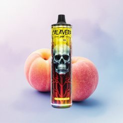 JNR Calavera 11000 Fersken Mango Type-C 850mAh 21ml