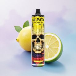 JNR Calavera 11000 Sitron & Lime Type-C 850 mAh 21ml