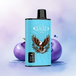 JNR EAGLE Smart 23000 Blåbæris med justerbar luftstrøm og 750mAh batteri