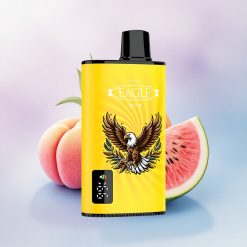 JNR EAGLE Smart 23000 Fersken Mango Vannmelon Digital Skjerm Type-C Lading 25ml e-Væske