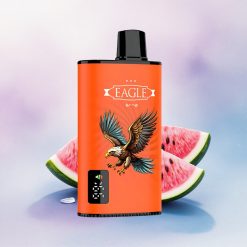 JNR EAGLE Smart 23000 Vannmelonis med justerbar luftstrøm og 750mAh batteri