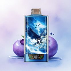 JNR Falcon Pro 28000 Blåbær Is Med 30ml Og 950mAh Batteri