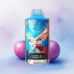 JNR Falcon X 18000 Blå Bringebær Kirsebær Dual Mesh Coil 750mAh