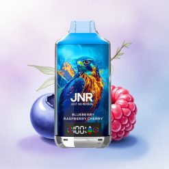 JNR Falcon X 18000 Blåbær Bringebær Kirsebær 750mAh 24ml Digital Skjerm Type-C
