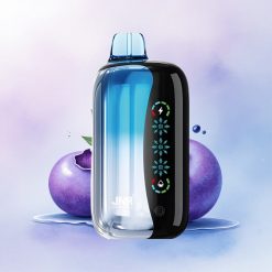 JNR Flex Ice 21000 Blåbæris med justerbar is og 1000mAh