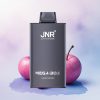 JNR Mega Box 25000 Blandet Bær 850mAh 30ml