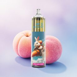 JNR Rocket-X 12400 Fersken Is med Justerbar Luftstrøm og Type-C Hurtiglading