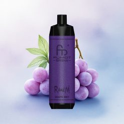 RandM Fumot Shisha 10000 Puffs Druemynt med LED-indikator og 0,5% nikotin