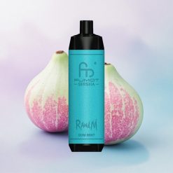 RandM Fumot Shisha 10000 Puffs Mintgum med LED og 850 mAh