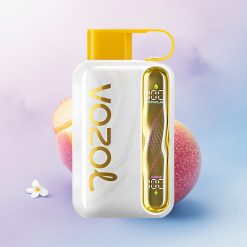 VOZOL STAR 40000 Puffs Mango Is med 1000mAh og 20mg/ml nikotin