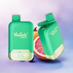 Vapsolo Twins 20000 Puffs Blåbær Solbær & Grapefrukt Forfriskende med 40 ml E-væske og Type-C